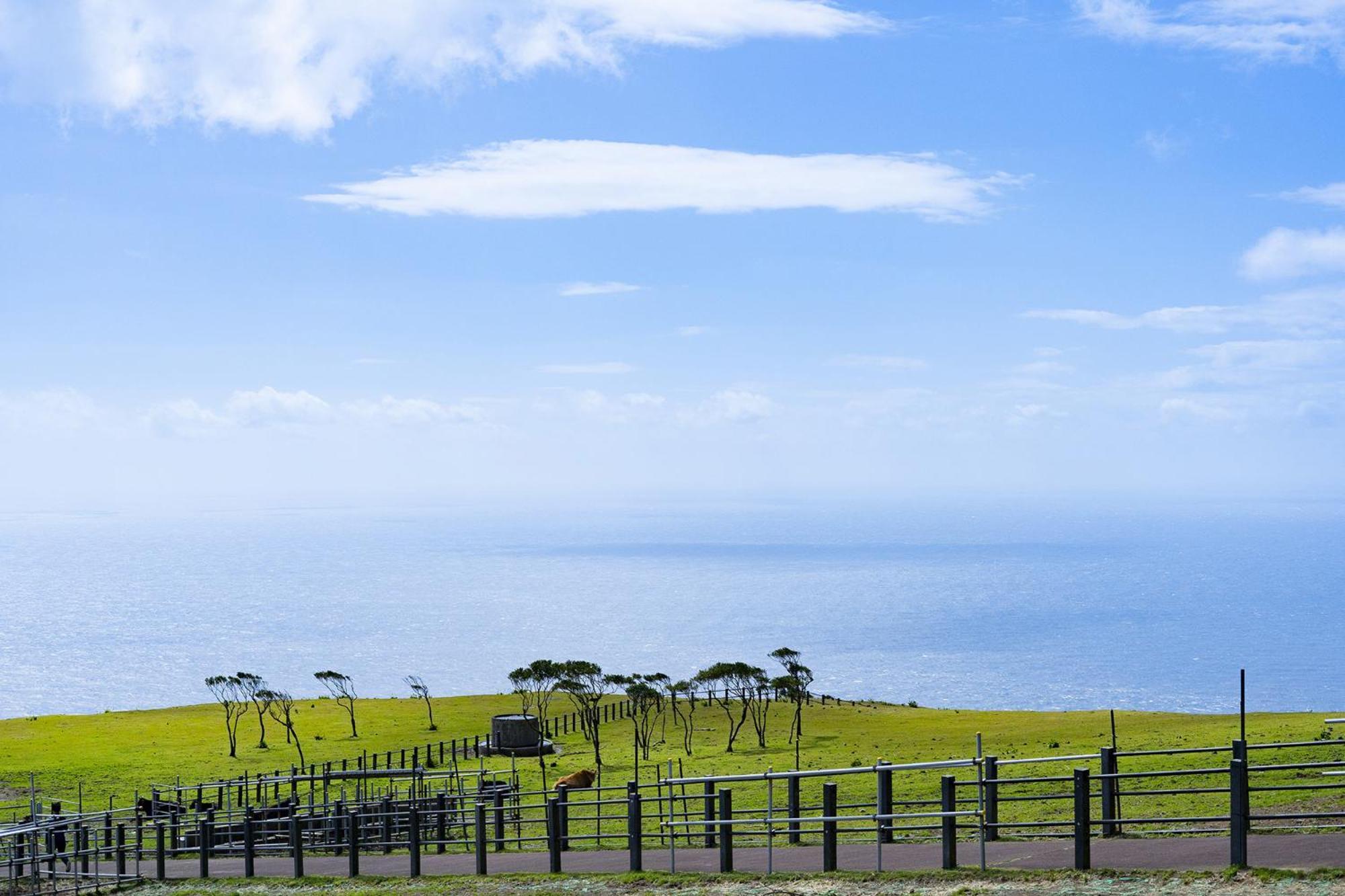 Hachijyo-Island Blue Eight -八丈島ブルーエイト- Villa Mitsune Eksteriør bilde